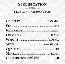 5 $ Canada 1 Oz D'argent Maple Leaf Spirit Lion. 9999 Boîte, Capsule, Coa
