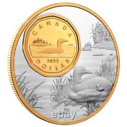 5 Oz 2022 The Bigger Picture The Loon Silver Coin Royal Canadian Mint