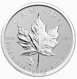 6x Feuilles d'érable en argent pur du Canada 1 oz 6 marques privées 2016 et 2017 Preuve inverse