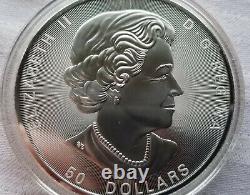 Arbre De Vie-2017 $50 10 Oz Argent Fin Coin