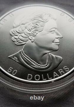 Arbre De Vie-2017 $50 10 Oz Argent Fin Coin