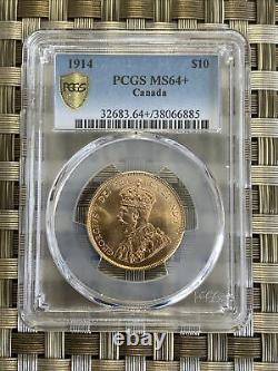 Canada 1914 10 $ Pièce D’or Ms64+ Réserve D’or Pcgs