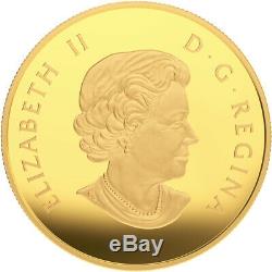 Canada 200 $ Maple ICI À 2015 Feuille Reflection 1 Oz Pure Gold Coin Monnaie Royale Canadienne