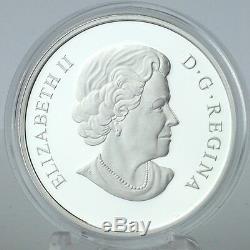 Canada 2013 25 $ Polar Bear 1 Oz 99,99% Pure Silver Preuve Pièce Commémorative