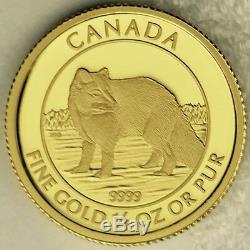 Canada 2014 $ 10 Arctic Fox 99,99% Preuve Pure Gold Ongecirculeerd Numismatique Coin