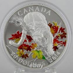 Canada 2014 20 $ Cougar À L'automne Maple Tree 1 Oz. Pièce De Preuve De Couleur D'argent Pur