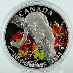 Canada 2014 20 $ Cougar À L'automne Maple Tree 1 Oz. Pièce De Preuve De Couleur D'argent Pur