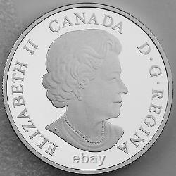 Canada 2014 $20 Maple Leaves Glow-in-the-dark 1 Oz Pure Silver Color Proof Coin