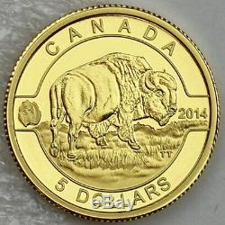 Canada 2014 5 $ Bison O Canada 1/10 Onces. 99,99% Preuve Pure Gold Coin