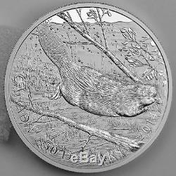 Canada 2014 50 $ Natation Beaver 5 Troy Oz. Argent Pur Ongecirculeerd Proof Coin
