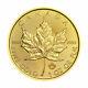 Canada 2019 Mrc 1 Oz Feuille D'érable Canadienne D'or Solide 50 $ Coin Pur À 99,99%
