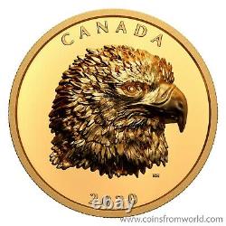 Canada 2020 250 $ Fier Pygargue À Tête Blanche 2 Oz Or Pur Monnaie Monnaie Royale Canadienne Dse