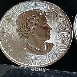 Canada pièce de faune LOUP en argent brillant non circulé LOT RCM