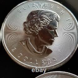 Canada pièce de faune LOUP en argent brillant non circulé LOT RCM