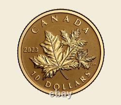 Carte de feuille d'érable éternelle du Canada en 2023 10$ pièce en or pur à 99,99% de 1/20 oz.