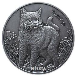Cats 2021 5 Oz Pure Silver Antiqued Coin En Capsule Fidji Mintage De 500 Seeled