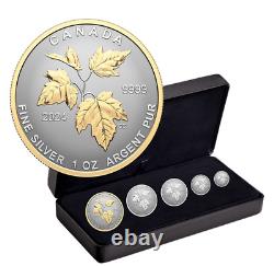 En 2024, Canada Gold Plated SML Five. Ensemble de pièces de monnaie en argent pur fractionné 9999 Proof