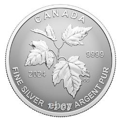 En 2024, Canada Gold Plated SML Five. Ensemble de pièces de monnaie en argent pur fractionné 9999 Proof