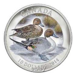 Ensemble de 3 pièces en argent pur de 10 $ de 2013, Canards du Canada, avec boîtier d'exposition et appeau à canard.