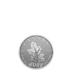 Ensemble de 5 pièces en argent pur de la Feuille d'érable fractionnaire de la Couronne Radieuse du Canada 2022