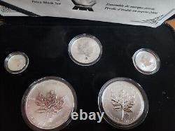Ensemble de pièces fractionnaires de 5 pièces feuille d'érable du Canada 2004 avec marque privée RCM. 9999 Argent