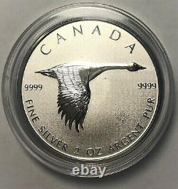 Feuille D'érable D'oie 2020 2 Oz. 9999 Argent 10 $ Monnaie Canada Monnaie Alex Colville