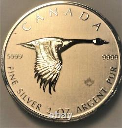 Feuille D'érable D'oie 2020 2 Oz. 9999 Argent 10 $ Monnaie Canada Monnaie Alex Colville