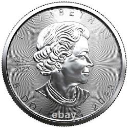 Lot De 10 2023 1 Oz Canadian 9999 Fine Silver Maple Leaf 5 $ Pièce En Stock