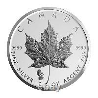 Lot De 100 X 1 Oz 2019 Canadian Maple Leaf Phonograph Privy Inverse Proof Silver