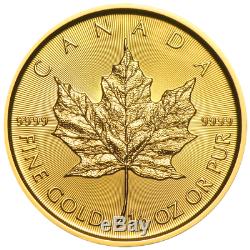 Lot De 2 2019 20 $ Feuille D'or Canadienne Maple. 9999 1/2 Oz Fleur De Coin