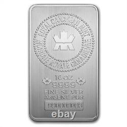 Lot De 20 10 Oz Monnaie Royale Canadienne (mrc). 9999 Barre D'argent Fine En Stock