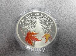 Monnaie Royale Canadienne 2013 20 $ Pièce D'argent Fin Canadian Maple Canopy Automne