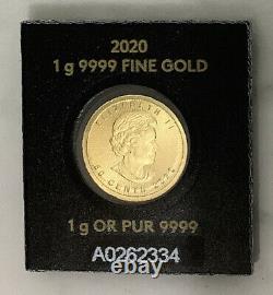 Or 2020 1 Gramme Maplegram 50 Cent Coin 9999 Gold Bullion - Monnaie Royale Canadienne