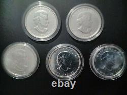 Pièce De Monnaie Canadienne En Feuille D'érable D'argent 2010 En Capsule 1oz Argent X 5 Lot