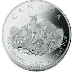 Pièce De Monnaie De 2004, Pièce De Monnaie Du Canada, Fox Arctique. 9999 Ensemble De Fractionnement De 4 Pièces D'argent