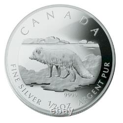 Pièce De Monnaie De 2004, Pièce De Monnaie Du Canada, Fox Arctique. 9999 Ensemble De Fractionnement De 4 Pièces D'argent