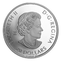 Pièce commémorative en argent pur à l'épreuve de 1 once 9999 du jour du Souvenir de 20 dollars canadiens de 2023