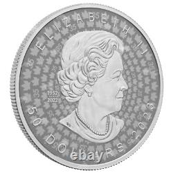 Pièce d'argent Ultra High Relief Maple Leaf 2023 de 5 oz de la Monnaie royale canadienne