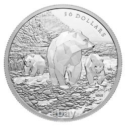 Pièce d'argent canadienne royale de 2 oz 2023 représentant une famille multifacette d'ours grizzlis.