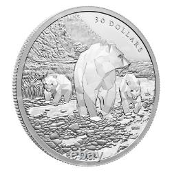 Pièce d'argent canadienne royale de 2 oz 2023 représentant une famille multifacette d'ours grizzlis.