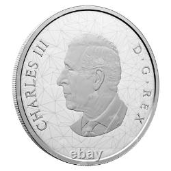 Pièce d'argent royal canadien de 2 oz 2024 représentant une famille multifacette de loups des bois