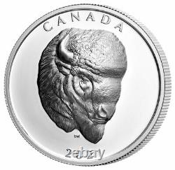 Pièce de 25 $ en argent de 1 oz du Canada Buffalo 2021 à relief extraordinairement élevé, épreuve numismatique, avec emballage d'origine.