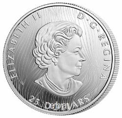 Pièce de 25 $ en argent de 1 oz du Canada Buffalo 2021 à relief extraordinairement élevé, épreuve numismatique, avec emballage d'origine.