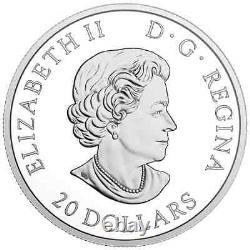 Pièce de monnaie canadienne en argent pur de 20 $ de 2018, congelée dans la glace, argent 999, Monnaie royale du Canada