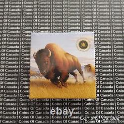 Pièce de monnaie en argent de 100 $ du Canada en 2013: Stampede American Bison Prairie Wind #coinsofcanada