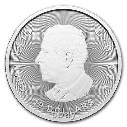 Pièce de monnaie en argent de la menthe royale canadienne de 2 onces, pure à 99,99%, représentant le mammouth laineux de l'âge glaciaire de 2024