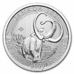 Pièce de monnaie en argent de la menthe royale canadienne de 2 onces, pure à 99,99%, représentant le mammouth laineux de l'âge glaciaire de 2024