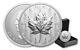 Pièce De Monnaie En Argent Pur D'une Once Canada Maple Leaf Rcm 2024 Uhr Pulsating Forest