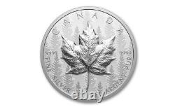 Pièce de monnaie en argent pur d'une once Canada Maple Leaf RCM 2024 UHR Pulsating Forest