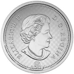 Pièce de monnaie en argent pur de la Monnaie royale canadienne de 5 c de 2016, avec un grand castor et des couleurs.